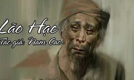 Suy Nghi Ve So Phan Va Ve Dep Cua Lao Hac Trong Tac Pham Cung Ten Bai Viet So 7 Lop 9 De 2