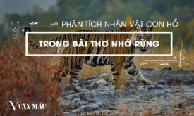 Phân tích nhân vật con hổ trong bài thơ Nhớ rừng của Thế Lữ