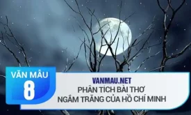 Phân tích bài thơ Vọng Nguyệt – Ngắm trăng của Hồ Chí Minh